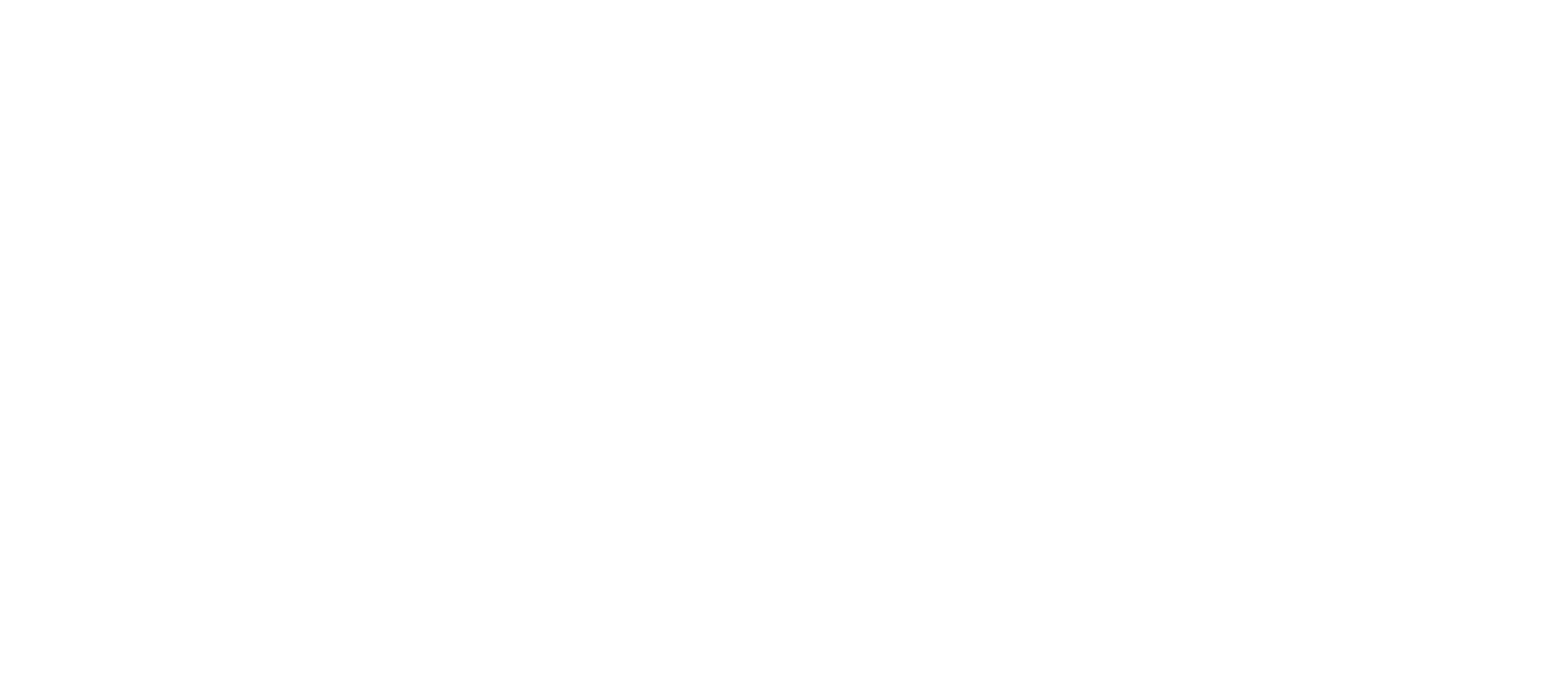 Branson Visitor TV